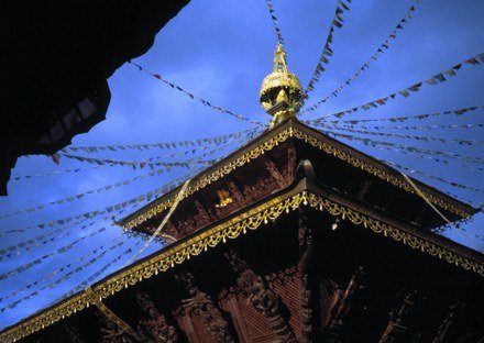 a_grass_westgelaende_9_20140604_2058791166
