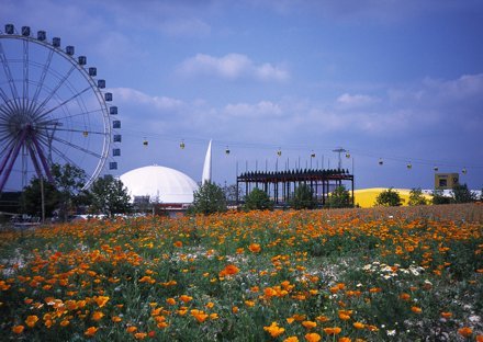 a_grass_ostgelaende_1_20140604_1847204152