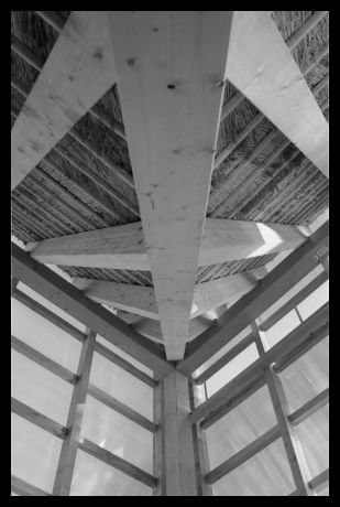 falk_schuch_album_1_13_20140605_1521719714