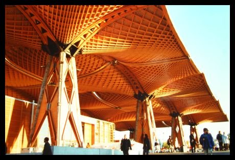 falk_schuch_album_2_3_20140605_1168357157