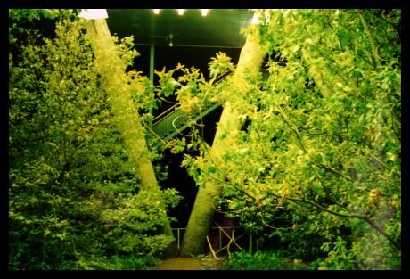 falk_schuch_album_3_7_20140605_1616278058